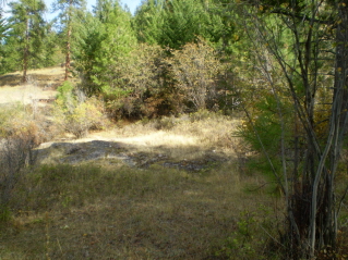Trail found again in this area on the other side, Mt Keogan 2011-10.